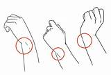 Draw Wrist Wrists Observe sketch template