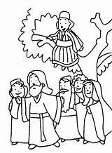 Zaqueo Zacchaeus Dibujos Arbol Zaqueu Jesús Atividades Cristianas sketch template