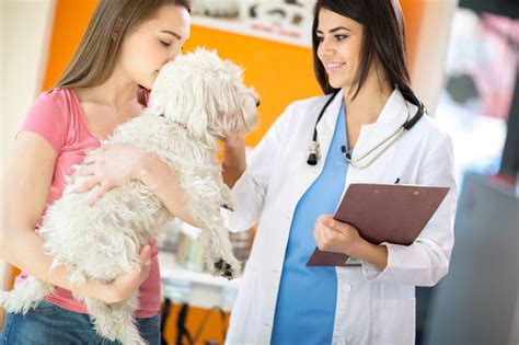 reasons    veterinarian veterinary practice news