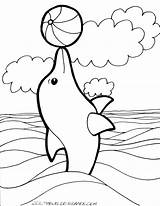 Coloring Pages Dolphins Miami Getcolorings sketch template
