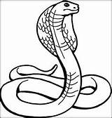 Coloring Cobra Pages King Animals Dangerous Snake Snakes Animal Color Kids Printable Colouring Cool Tattoo Rattlesnake Shelby Sheets Drawing Print sketch template