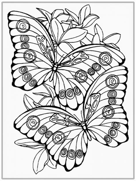 butterfly coloring pages adults printable fge