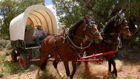 wagon train  history alive