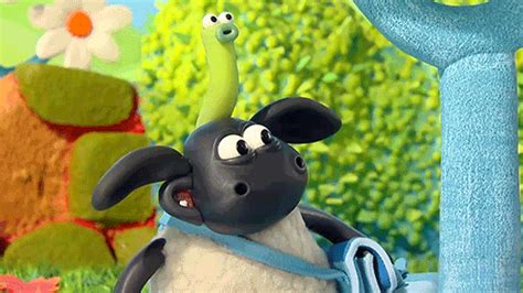 happy timmy time by aardman animations find and share