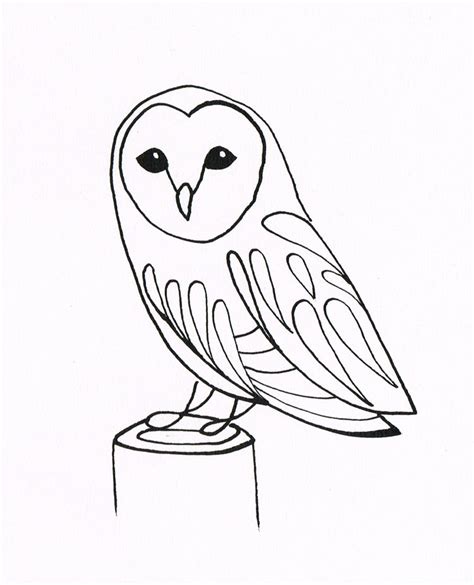 pin  owl