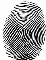 Fingerprint Colour Webstockreview Cmyk sketch template