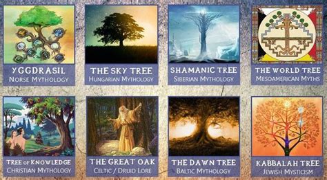 image result  norse world tree world mythology mythology sacred tree