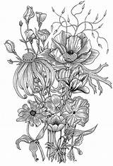 Behance Notebook Coloring Posters Flowers Part sketch template