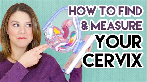 how can you tell if your cervix is open or closed during pregnancy the