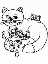 Kittens Kitten sketch template