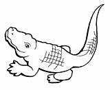 Crocodile Coloring Pages Alligator Color Kids Crocodiles Small Simple Drawings Baby Clipart Mardi Gras Sheets Drawing Clip Animals Print Piranha sketch template
