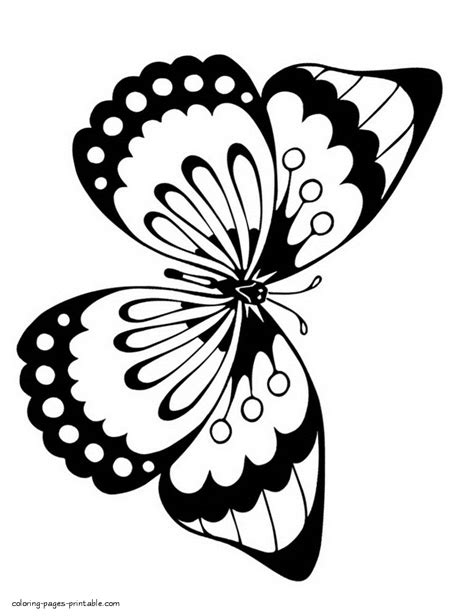 coloring page butterfly coloring pages printablecom