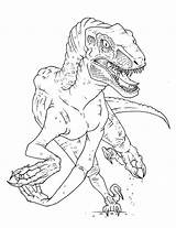 Raptor Coloring Pages Getcolorings Velociraptor sketch template