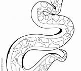 Garter Python Clipartmag Burmese Garters sketch template