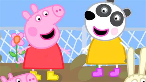 peppa pig official channel  compilation kids video youtube