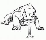 Komodo Dragon Coloring Pages Drawing Tongue Clipart Color Printable Print Getdrawings Popular Getcolorings Library Coloringhome Related sketch template