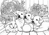 Kleurplaten Schattige Favoreads Dieren Honden sketch template