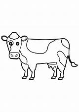 Vaca Vacas sketch template