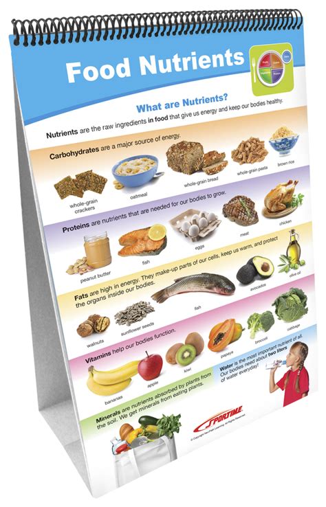 Our Sportime Myplate Food Groups Flip Charts Grades 1 To 4 Set Of 10