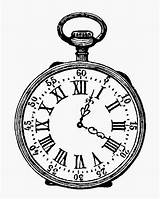 Drawing Outline Drawings Uhren Wonderland Clocks Taschenuhr Alice Zeichnen Bleistift Pocketwatch Clipartmag sketch template