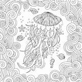 Jellyfish Zentangle книжка предпосылке стиле белой медузы sketch template