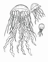 Jellyfish Spongebob Getcolorings sketch template