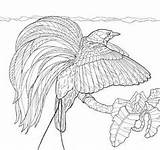 Spoonbill Woodburning Roseate Journaling sketch template