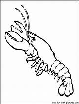 Lobster Coloring Kids Pages Clipart Library Fun Popular sketch template