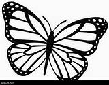 Butterfly Coloring Monarch Pages Printable Easy Davemelillo Drawing Outline Template Kids Papillon Morpho sketch template