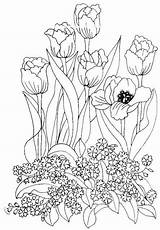 Colorat Flori Planse Coloriage Primavara Tulipe Lalele Plansa Coloriages Ro Floare Zambitoare Enfant Articole Relatate Asemanatoare Primăvară Scrigroup sketch template