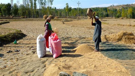 India’s Agriculture Industry Declared Third Largest