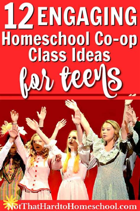 engaging homeschool  op class ideas teens  love