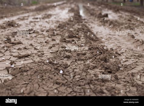 mud soil  tracks brown texture background natural photography dof