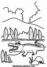 Alligator Clipartpanda sketch template