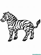 Mewarnai Bestcoloringpagesforkids Zebras Disimpan Gambarmewarnai sketch template