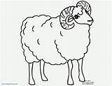 Coloring Ram Sheep Pages Baa Printable Color Getcolorings Print Getdrawings Popular sketch template