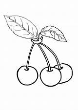 Cherries Colouring Bestcoloringpagesforkids sketch template
