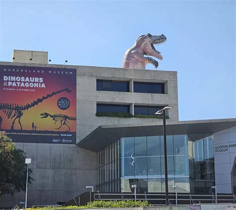 queensland museum   dinosaur museum  brisbane