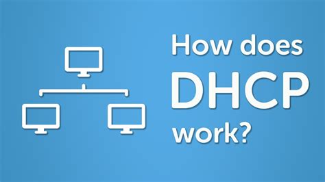 dhcp dhcp protocol network configuration saixiii