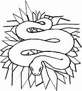 Serpenti Schlange Spitzen Tiere Blaettern Coloratutto Malvorlage sketch template