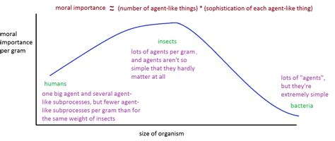 bacteria plants  graded sentience essays
