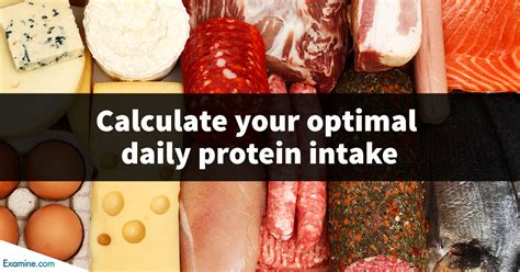 protein intake calculator quick find out how much protein you need every day