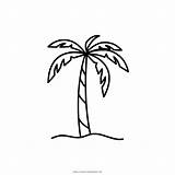 Palmera Palmas Página Ultracoloringpages Pngegg Blushington sketch template