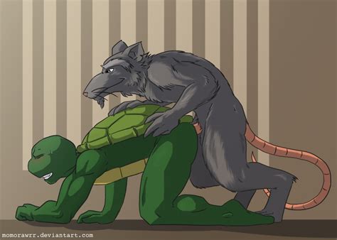 Rule 34 Anal Anal Sex Furry Furry Only Gay Male Master Splinter