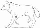 Loup Garou Lineart Lupo Sitting Colorier Septembre Pastore Kamishibai Coloriages Ritratti sketch template