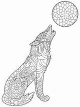 Lupo Adulti Volwassenen Erwachsene Coloritura Zentangle Wolfs Illustrazione sketch template