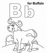 Buffalo Momjunction Gaupe sketch template