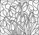 Coloring Snowdrop Flowers Ausmalen Coloritbynumbers Mosaik Designlooter Stained Hidden Sunflower sketch template