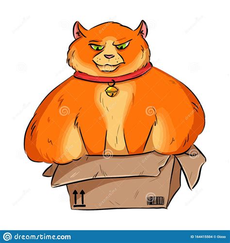 Funny Fat Overweight Cat Trying To Fit Into A Cardboard