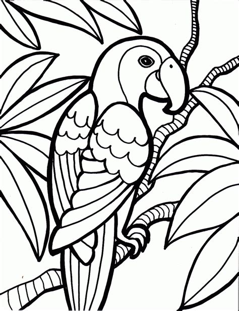 parrot printables parrot bird coloring pages animal coloring pages